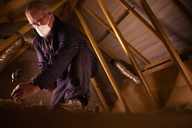 Best Commercial Insulation in Coker, AL